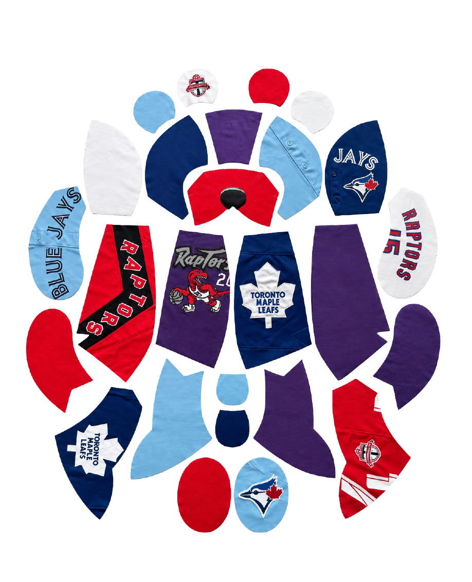TORONTO REWORKED JERSEY BEAR