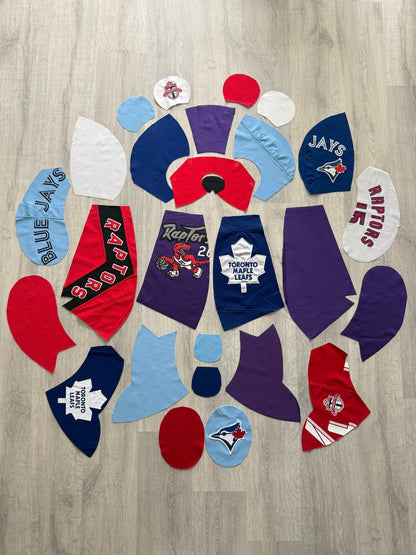 TORONTO REWORKED JERSEY BEAR