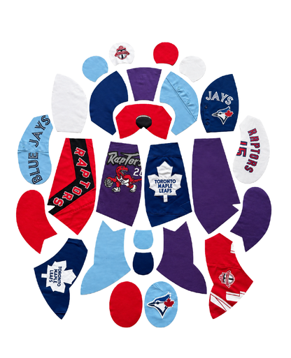 TORONTO REWORKED JERSEY BEAR